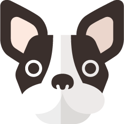 キャラクター