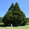 魔女の宅急便検定