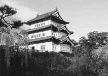 問題画像