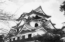 問題画像