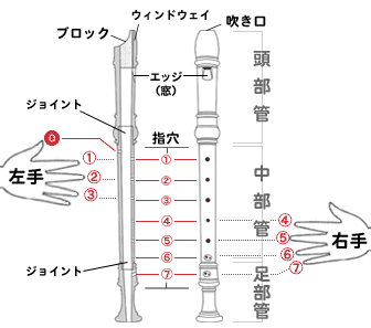 問題画像