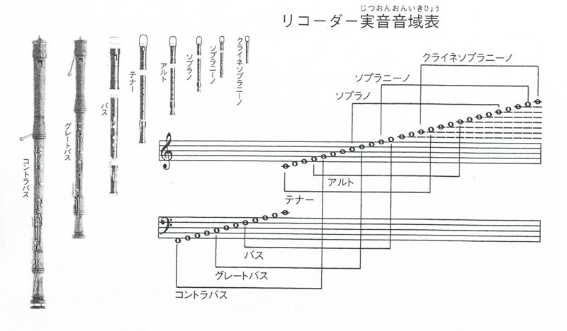 問題画像