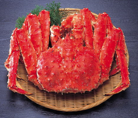 問題画像