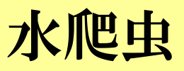 問題画像