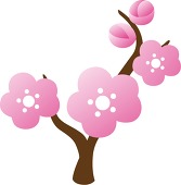 問題画像