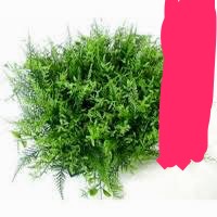 問題画像
